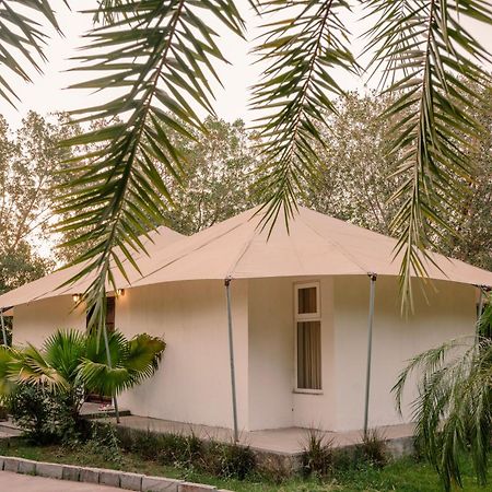 Clarks Safari Ranthambore Khilchīpur Eksteriør bilde